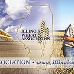 Farm Bureau’s #GratefulForGrub Series: Illinois Wheat