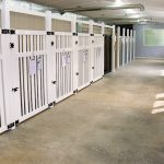 Book your dog’s boarding stay at Huckleberry’s Pet Parlor TODAY! 